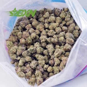 Buy Champagne Kush AAAA (Popcorn) at BudExpressNOW Online Shop