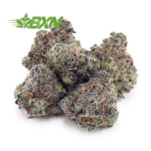 EA PLATINUMBUBBAPOPCORN BXN