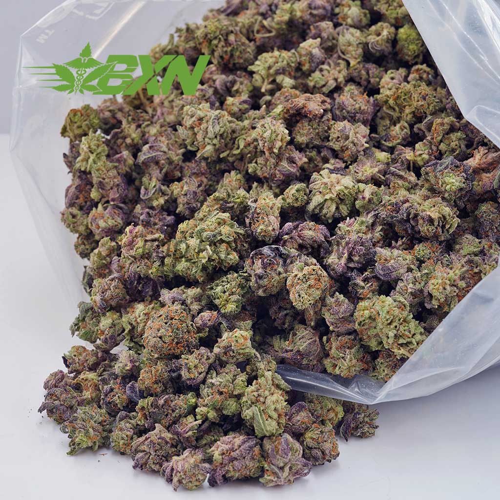 Buy Slurricane AAAA (Popcorn) at BudExpressNOW Online Shop