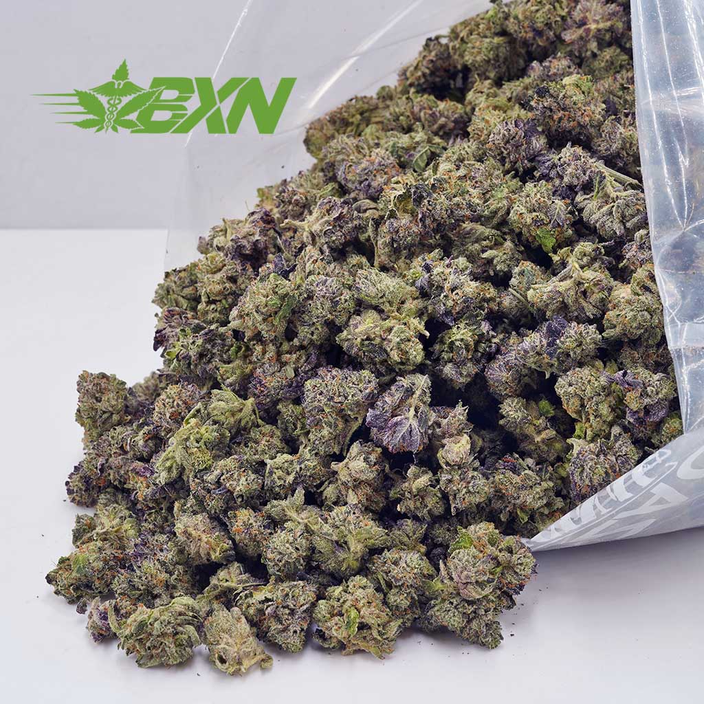 Buy Gummy Bearz AAAA (Popcorn) at BudExpressNOW Online Shop