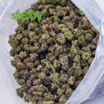 Buy Rock Tuna AAAA (Popcorn) at BudExpressNOW Online Shop