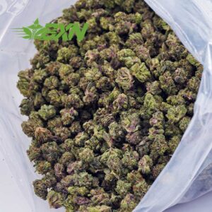 Buy Rock Tuna AAAA (Popcorn) at BudExpressNOW Online Shop