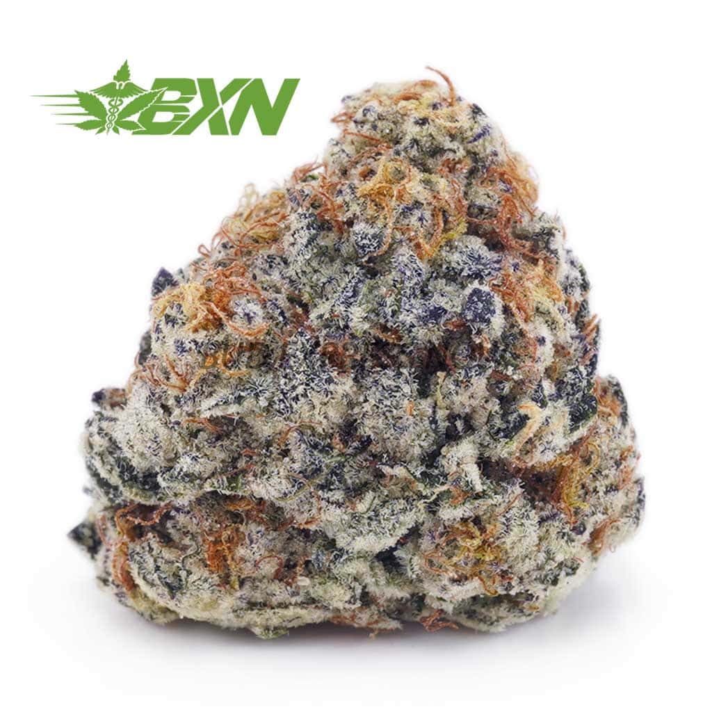 D381A1-FORTUNECOOKIES-BXN Buy Fortune Cut Cookies AA at BudExpressNOW Online Shop.