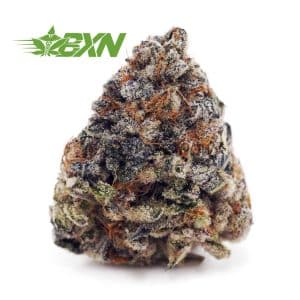 Buy Blue Dream AAAA at BudExpressNOW Online Shop