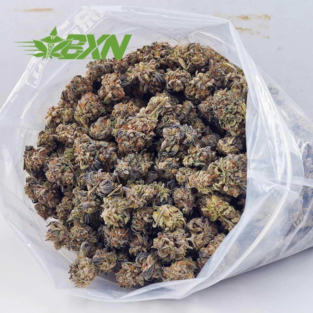 D722A2-BLUEDREAM-BXN