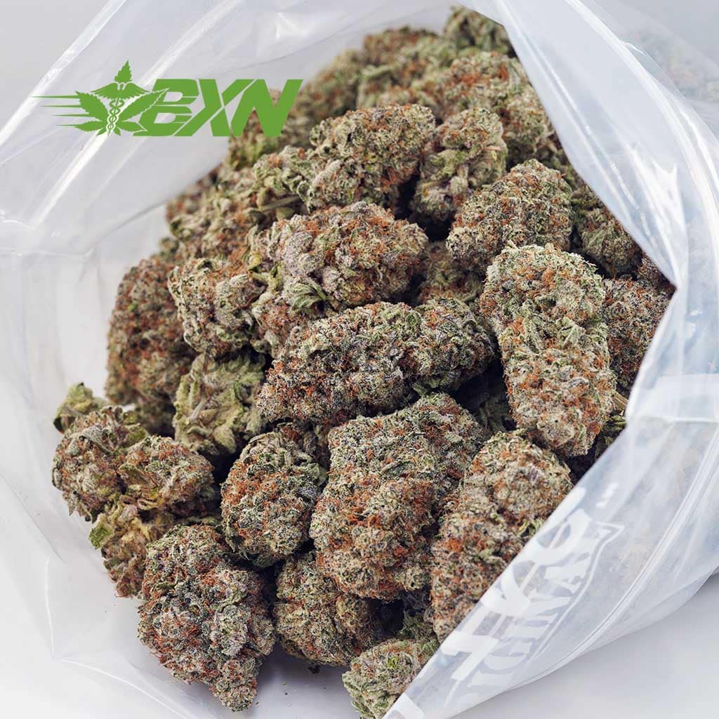 D779A2-CHOCOLOPE-BXN