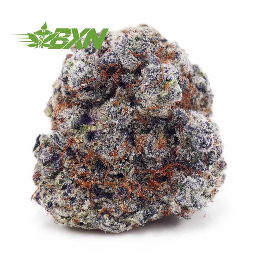 Buy Apple Fritter (Craft) at BudExpressNOW Online