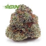 Buy Donkey Breath (Craft) at BudExpressNOW Online Shop