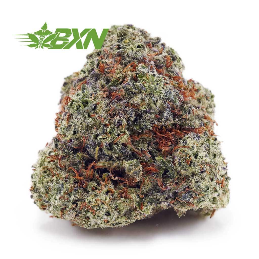 Buy Donkey Breath (Craft) at BudExpressNOW Online Shop