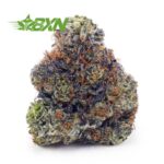 Buy El Chapo AAAAÂ at BudExpressNOW Online Shop.