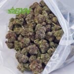 Buy El Chapo AAAAÂ at BudExpressNOW Online Shop.