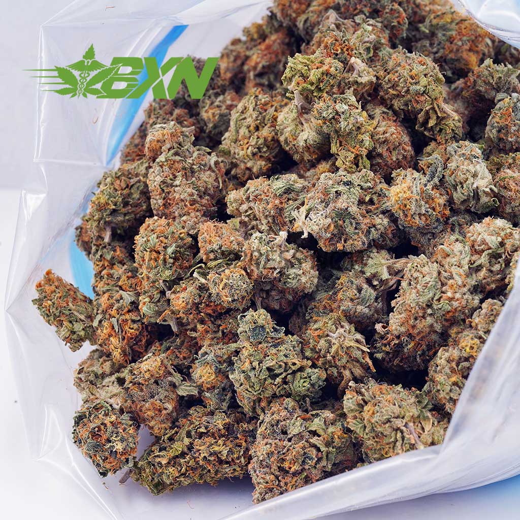 Buy Island Kush AA at BudExpressNOW Online Shop