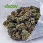 Buy OG Kush AAA at BudExpressNOW Online Shop