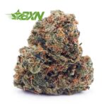 Buy Gushers AAA at BudExpressNOW Online