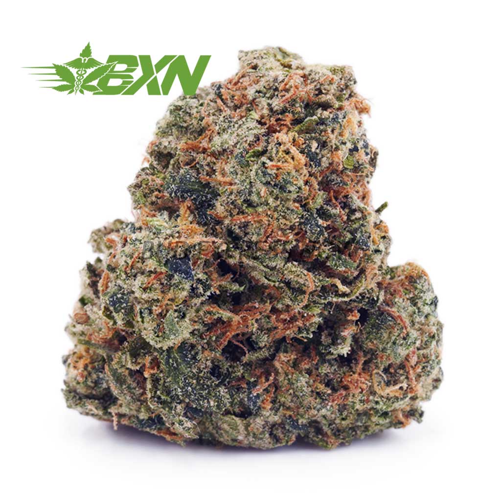 Buy Gushers AAA at BudExpressNOW Online