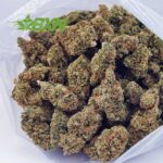 Buy Gushers AAA at BudExpressNOW Online