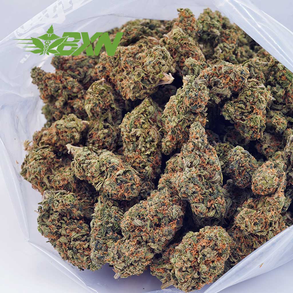 Buy Gushers AAA at BudExpressNOW Online