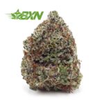 Buy Snow White AAAA at BudExpressNOW Online Shop.