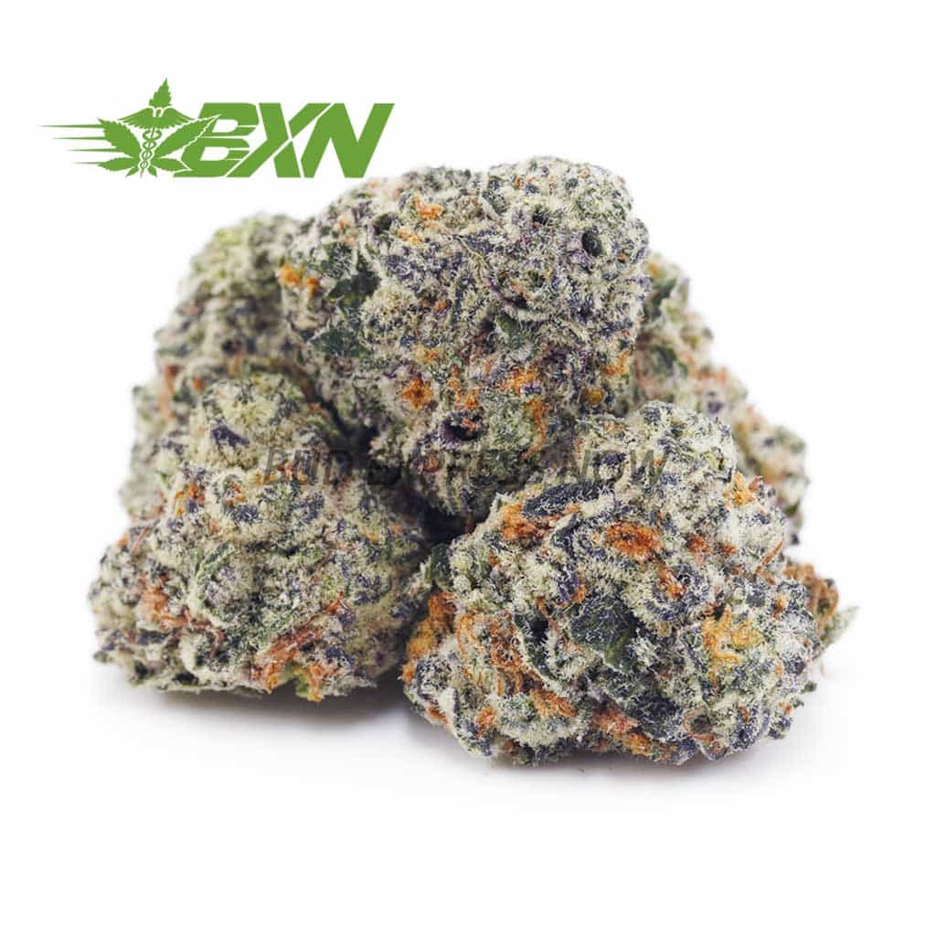 D431A1-VANILLAKUSHPOPCORN-BXN Buy Vanilla Kush AAAA (Popcorn) at BudExpressNOW Online Shop