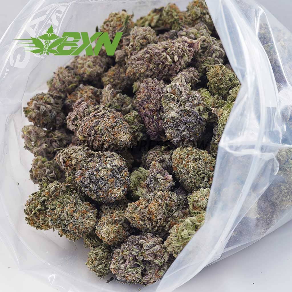D461A2-DRAGONFRUITKUSH-BXN Buy Dragon Fruit Kush AAAA at BudExpressNOW Online Shop