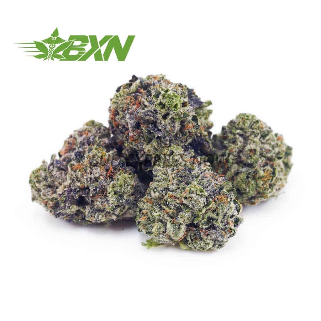 D581A1-ELPADRINOPOPCORN-BXN Buy El Padrino AAAA (Popcorn) at BudExpressNOW Online Shop