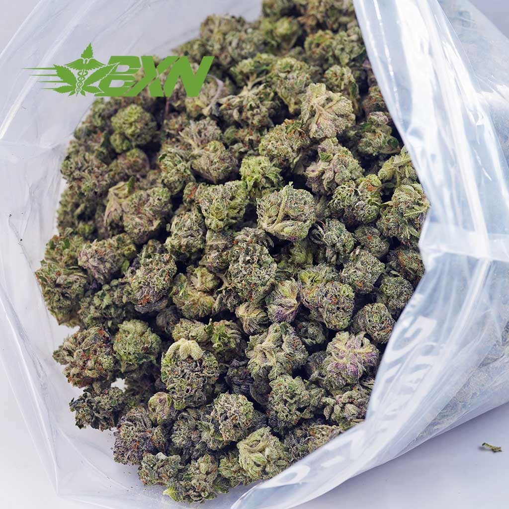 D581A2-ELPADRINOPOPCORN-BXN