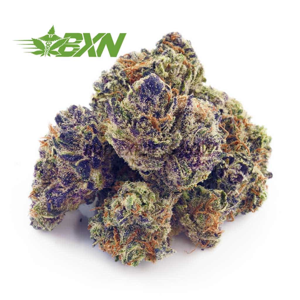 Buy Berry Punch AAAA (Popcorn) at BudExpressNOW Online Shop.