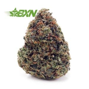 Buy Bubba Kush AAA at BudExpressNOW Online Shop.