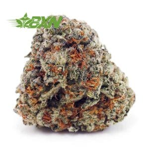 Buy Tahoe OG AA at BudExpressNOW Online Shop