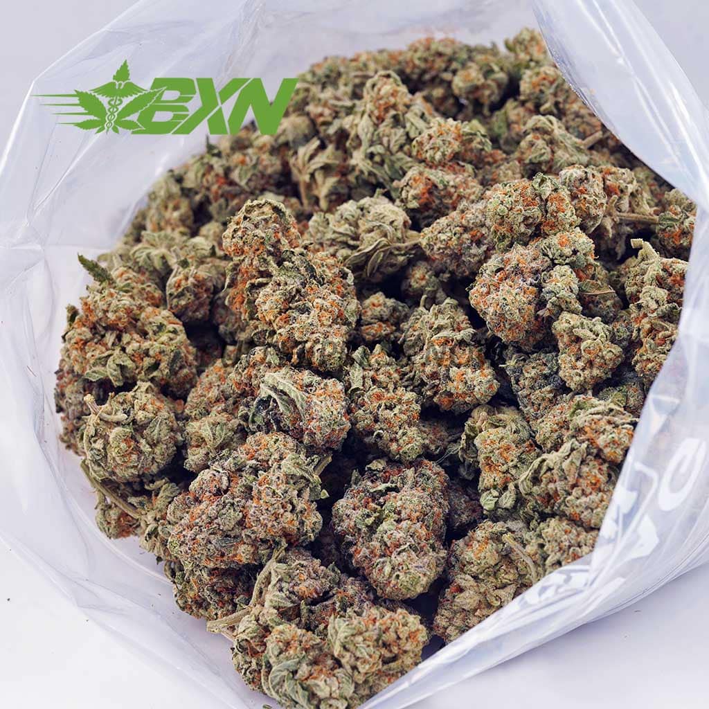 Buy Tahoe OG AA at BudExpressNOW Online Shop
