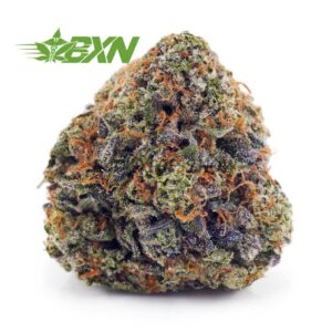 Buy Pineapple Godbud AAA at BudExpressNOW Online Shop