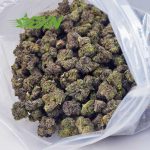 Buy Master Yoda AAAA (Popcorn) at BudExpressNOW Online Shop