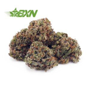 Buy Watermelon Kush AAAA (Popcorn) at BudExpressNOW Online Shop