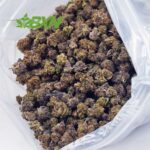 EA WATERMELONKUSHPOPCORN BXN