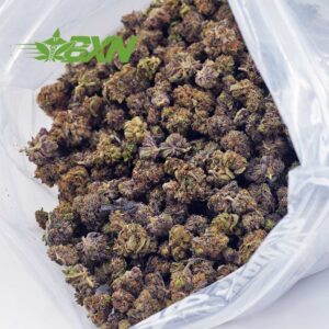 EA WATERMELONKUSHPOPCORN BXN