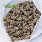 EA GARYPAYTONPOPCORN BXN