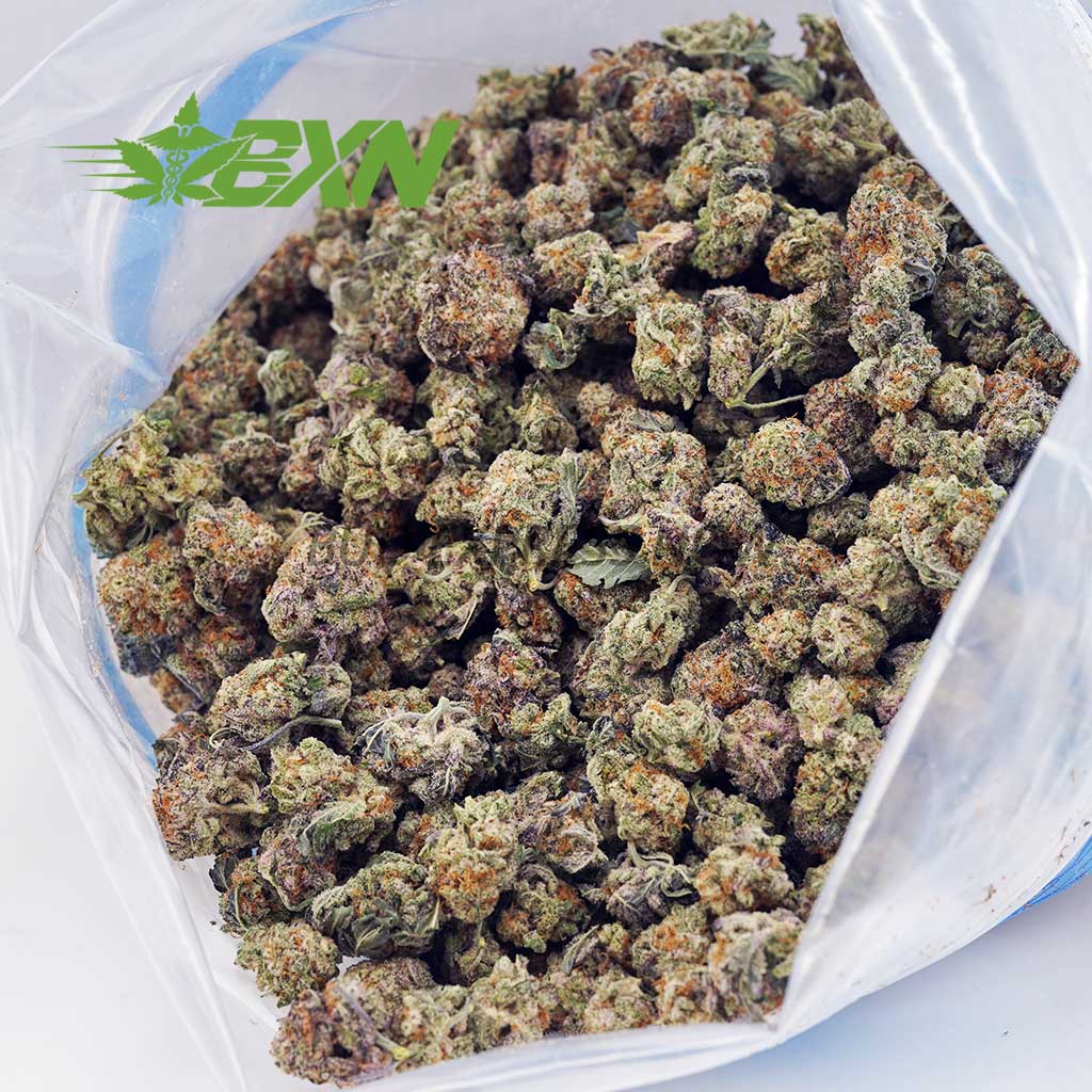 EA GARYPAYTONPOPCORN BXN EA GARYPAYTONPOPCORN BXN