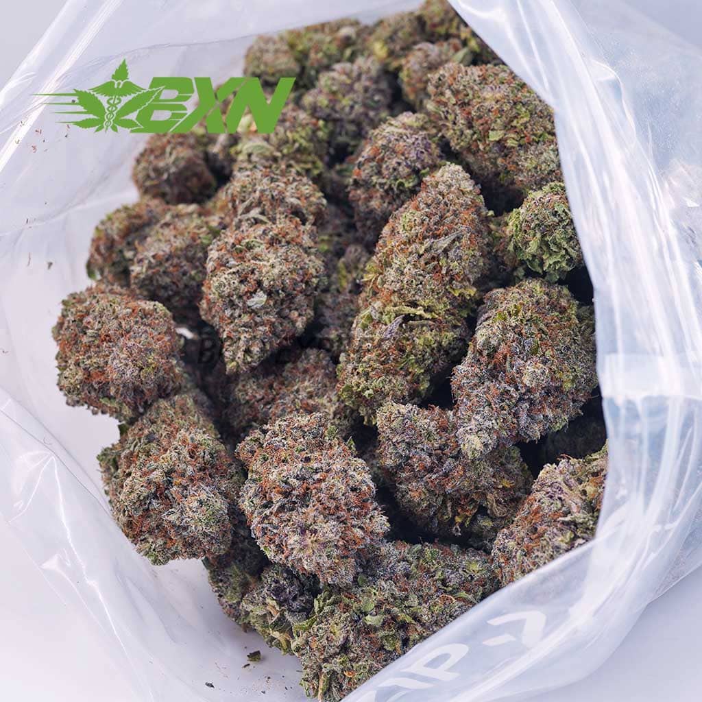 Buy Blue Magoo Cookie AAA at BudExpressNOW Online Shop