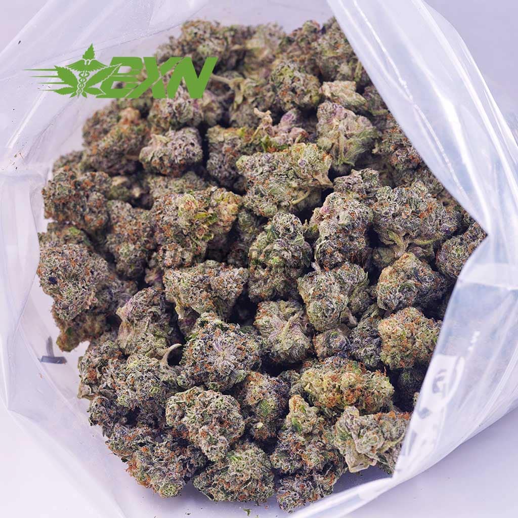 D502A2-PRE-98BUBBA-BXN