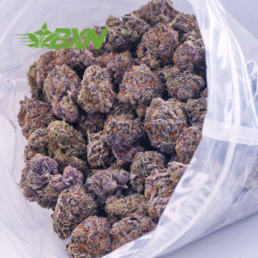 D512A2-RAINBOWBELTS-BXN