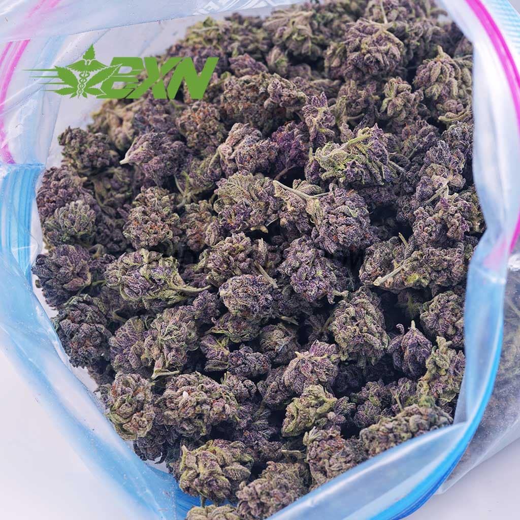 Buy Black Cherry Gelato AA at BudExpressNOW Online Shop