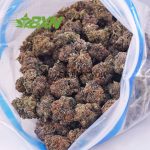 Buy Purple Trainwreck AA at BudExpressNOW Online.