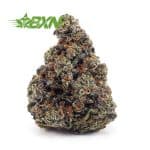 Buy Pass Out Pink AAA at BudExpressNOW Online Shop.