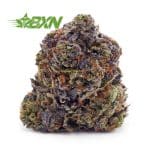 Buy Birthday Cake Kush AAA at BudExpressNOW Online Shop