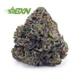 Buy Gas Mask Bubba AAA at BudExpressNOW Online Shop