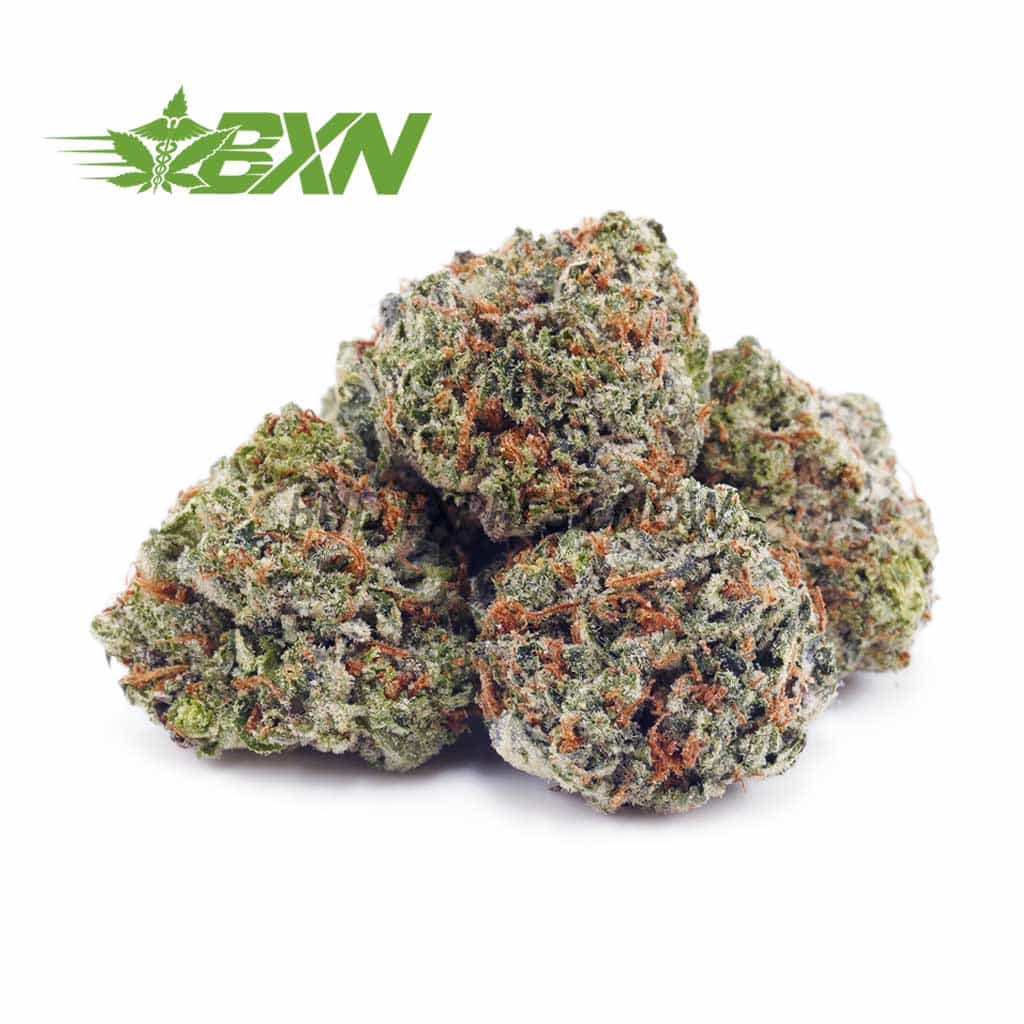 Buy Purple Freeze AAAA (Popcorn) at BudExpressNOW Online Shop