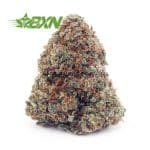 Buy Rainbow Kush AA at BudExpressNOW Online Shop