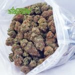 Buy Rainbow Kush AA at BudExpressNOW Online Shop