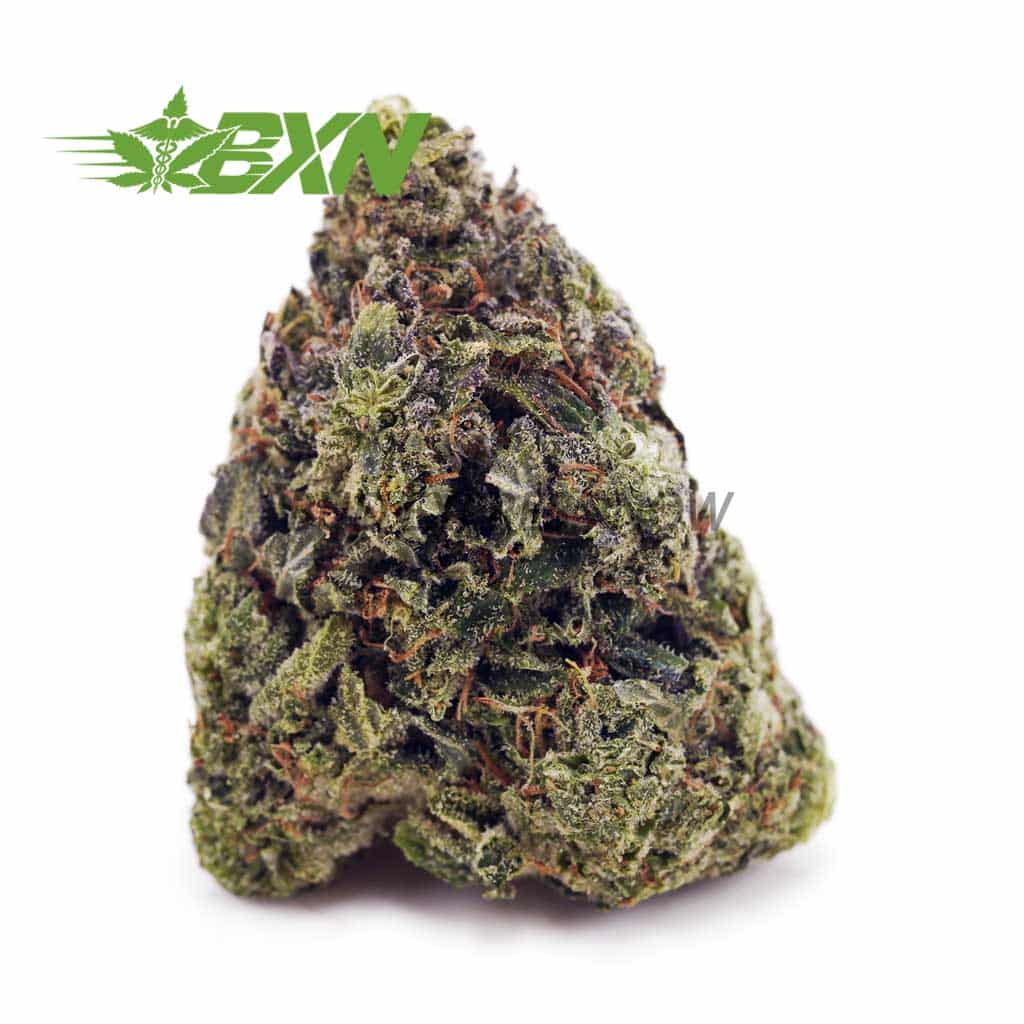 Buy Godfather OG AAA at BudExpressNOW Online Shop.
