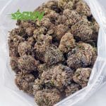 Buy White Widow AAAA at BudExpressNOW Online